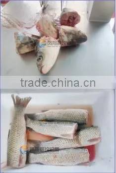 Commercial Fish Head Cutter Cutting Processing Machine photo-2