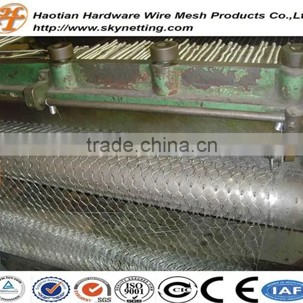 High Quality Galvanized Chicken Wire Netting Hexagonal Wire Netting Poultry Mesh photo-3