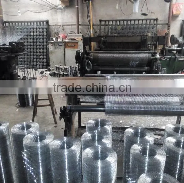 Electro-galvanized 1/2 Inch Mesh Welded Wire Mesh for Construction photo-2
