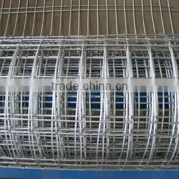 Welded Wire Mesh (30 Years Factory) photo-3