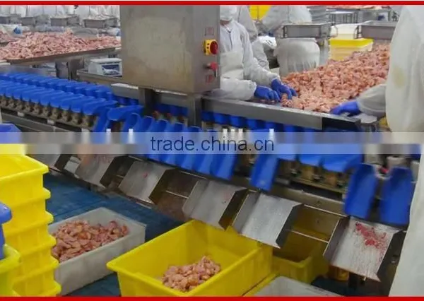 Over 20 Years Manufacturer and Focusing on Drumstick and Frozen Shrimp Automatic Weight Grader photo-3