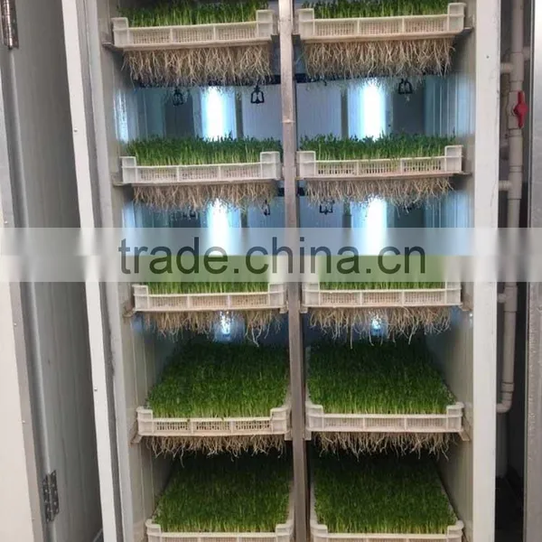 Fodder Sprouting Machine/hydroponic Fodder Machine for Cattle,rabbit,sheep,horse photo-2