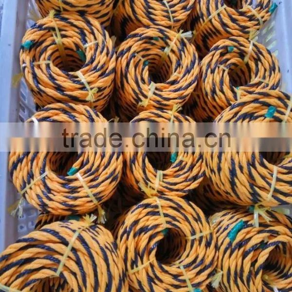 3 Strands Tiger Rope photo-5