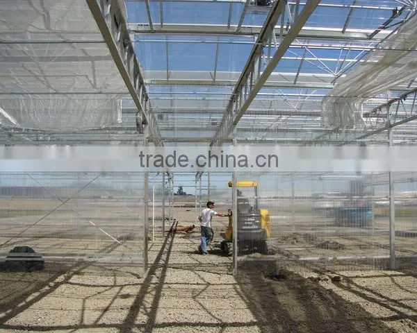 Wholesale Greenhouse photo-3