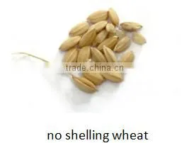 China Manufactory High Production Wheat/rice Color Sorter Machine photo-4
