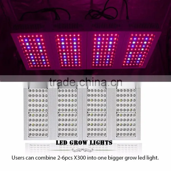 Plant Growing Diasy Chain Led Light High Lumen 300w Led Grow Light photo-2
