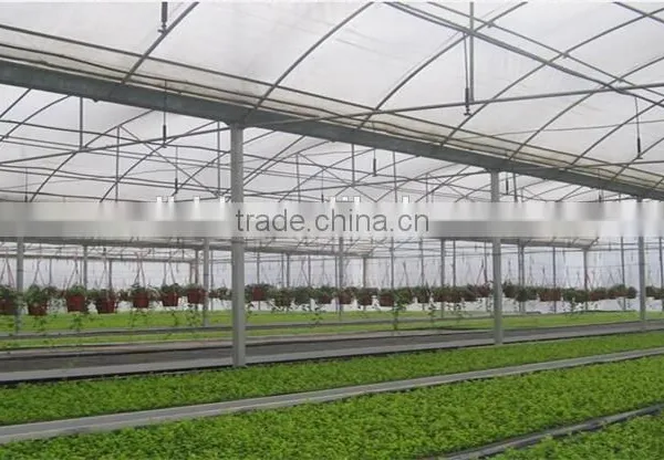 BaoLiDa Low Cost Plastic Film Covered Hoop Greenhouse photo-4