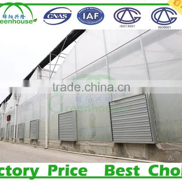 200 Micron uv Resistant Plastic Film Greenhouse for Sale photo-3