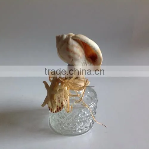 Diamond Shaped Irregular Drifting Bottle photo-3