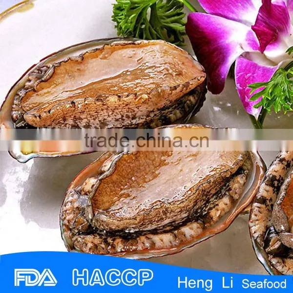 Fresh Live Frozen Abalone photo-3