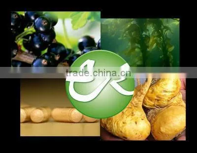 Wild Yam Powder