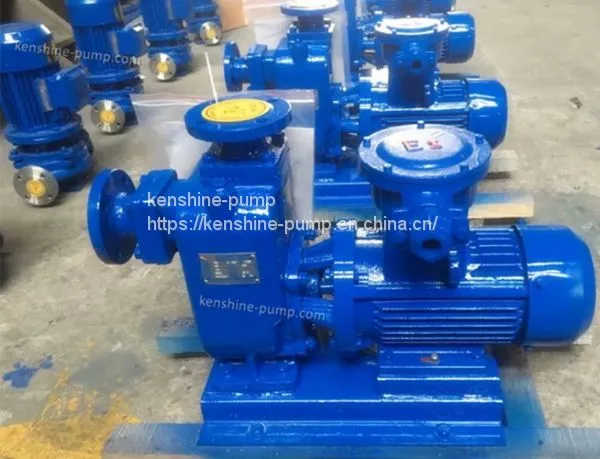 ZW Self Priming Sewage Drainage Pump for Wastewater photo-5