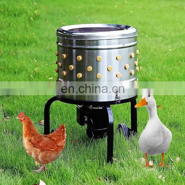 Chicken Feather Cleaning Machine photo-4