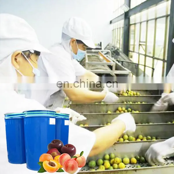 Industrial Fruit Vegetable Puree Jam Making Machine Production Line photo-4