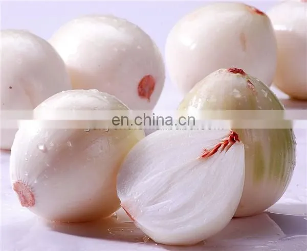 Large Capacity Onion Garlic Grading Machine Processing Line photo-4