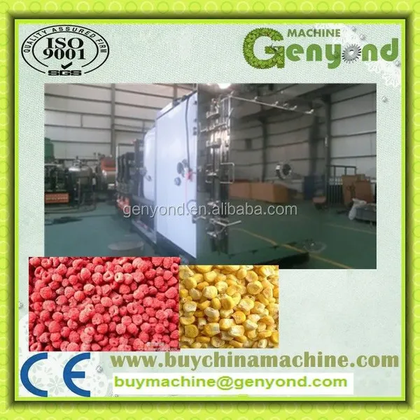 Freeze Dry Machine/flower Lyophilizer China/vacuum Freeze Drying Equipment photo-4