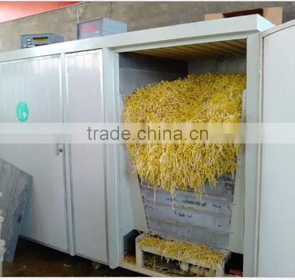 New Brand Bean Sprout Machine Soya Bean Mung Bean Black Bean photo-2