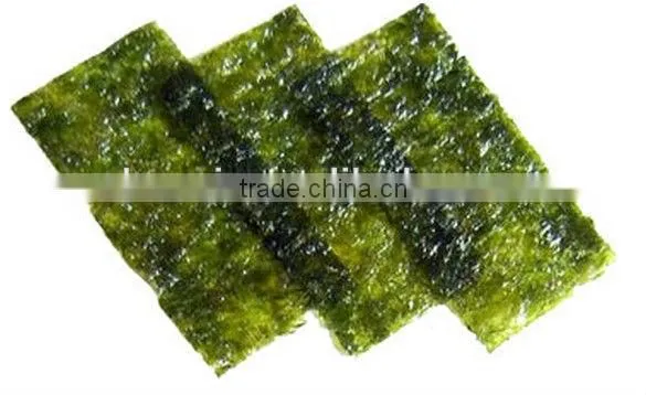 Organic Seaweed Healthy Seafood photo-2