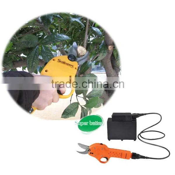 apple tree pruning shears