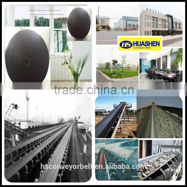 Stainless Steel Conveyor Belt