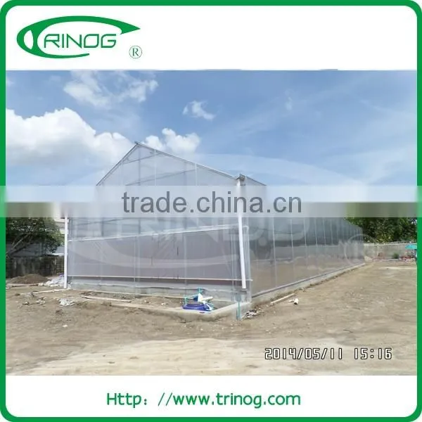 High Heat Transmission Polyethylene Sheets Greenhouse for Growing