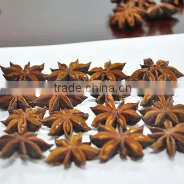 Star Aniseed