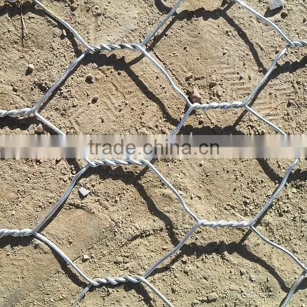 Best Quality Bird Cage Chicken Wire Mesh photo-4