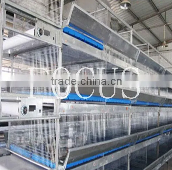 A & H Type Cage Hot Galvanized Layer Chicken Cage for Poultry Equipment Automatic Farming House
