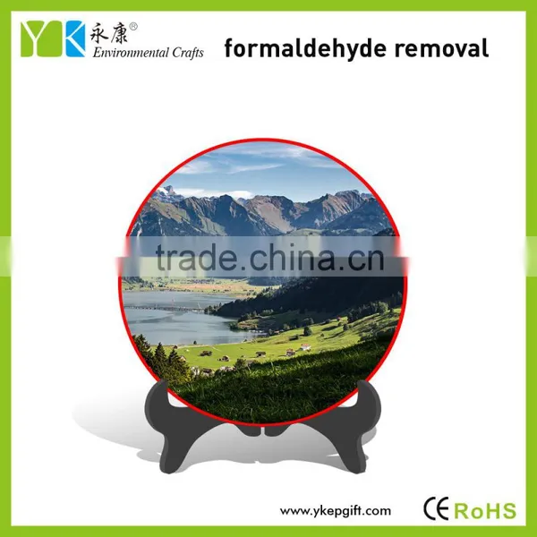 Innovative Novetly Eco-friendly Plate Crafts Bedroom Decor for Air Purification