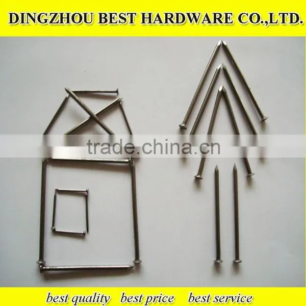 Polished Common Iron Nail photo-6