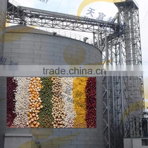 China Professional High Lifting Height Large Capacity Grain Vertical Bucket Elevator for Sale photo-5