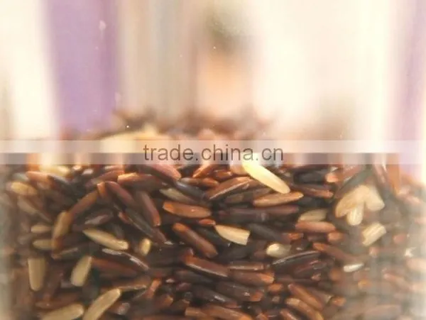 Riceberry Organic Rice photo-3
