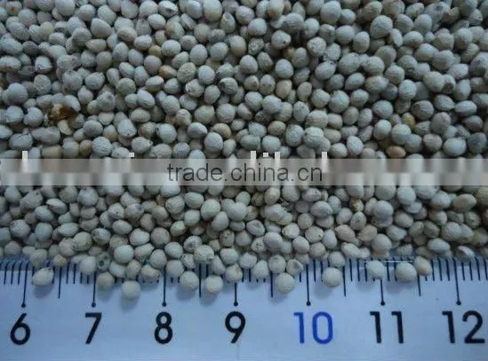 White Perilla Seeds