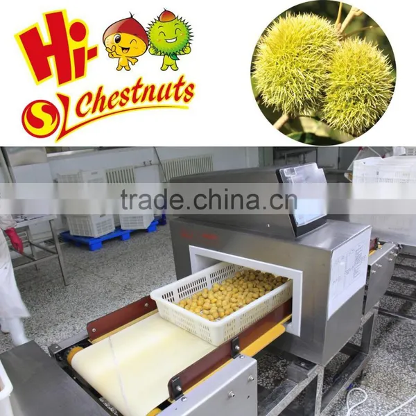 IQF Frozen Chestnut Quick Freezing Peeled Chestnuts photo-3