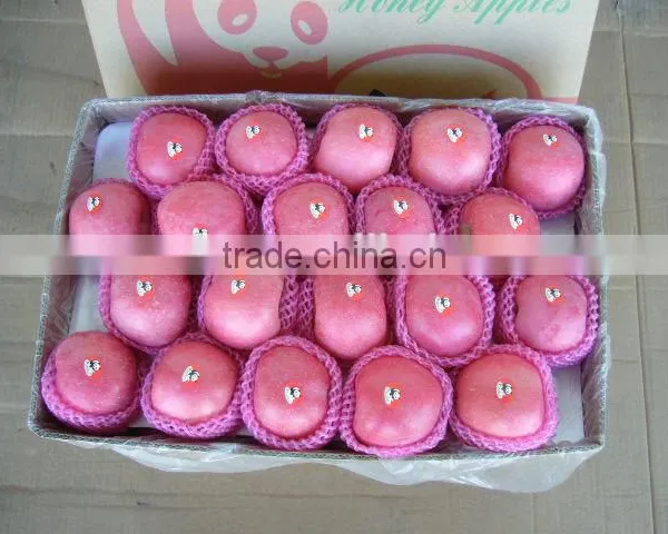 China Fresh Fruits Fully Blush photo-2