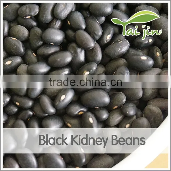 High Quality Frijol Negro With Good Price photo-3