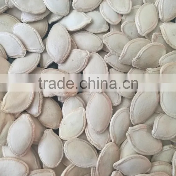 Snow White Pumpkin Seeds in Shell photo-4