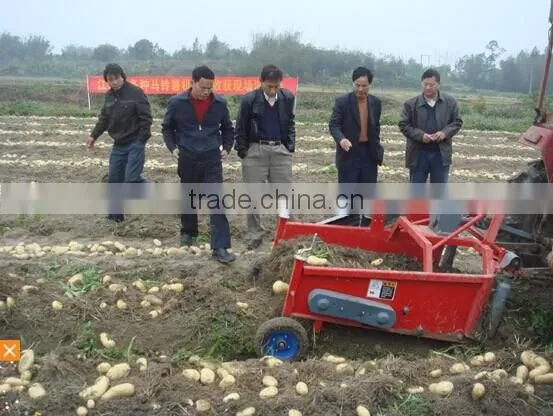 Potato Harvester photo-5