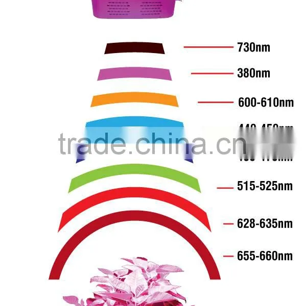 Newest Led Grow Light China Factory VANQLED 300w Cob Grow Full Spectrum photo-5