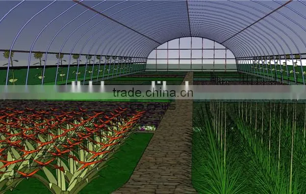 Polythene Film Greenhouse For Agriculture photo-2