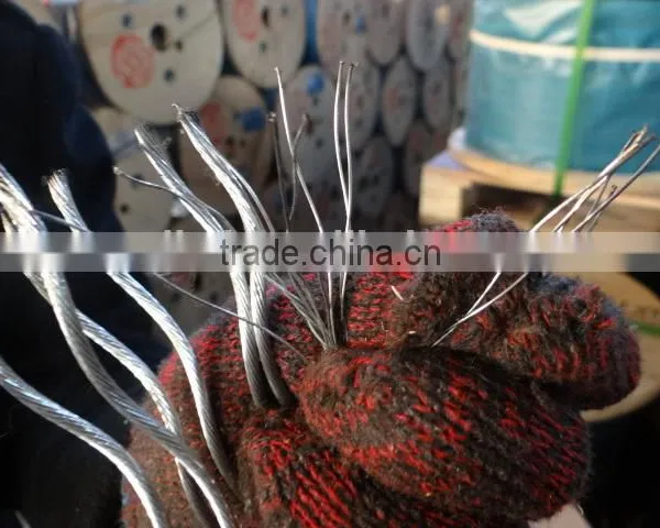 CE Hard Strength 6mm 6x7+fc Galvanized Carbon Steel Wire Rope photo-3