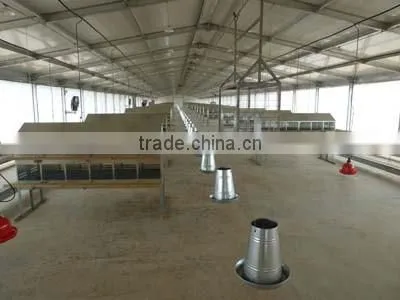 Design Modern Automatic Poultry China Equipment Chicken Farm photo-4