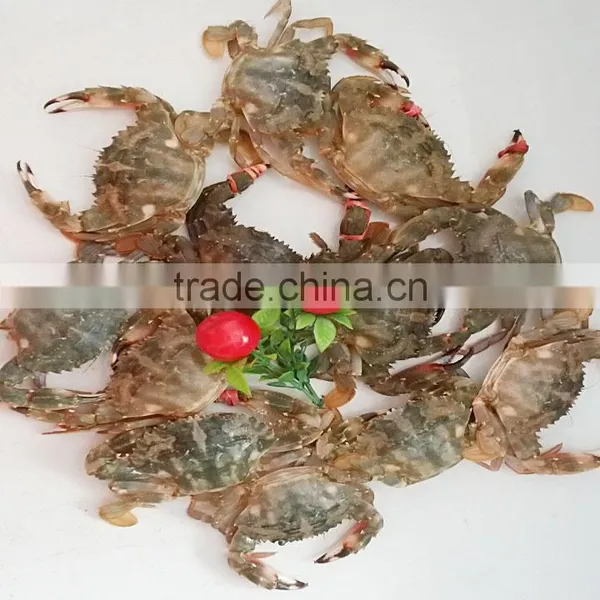 Frozen W/R Mud Crabs photo-2