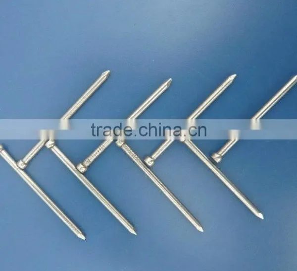 Hot Sale Finishing Nail/furniture Nail/decrative Nail Cost Price Selling photo-5