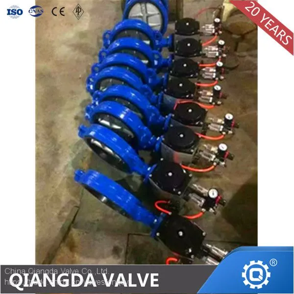 Rubber Centric Lined Wafer Type Butterfly Valve photo-2