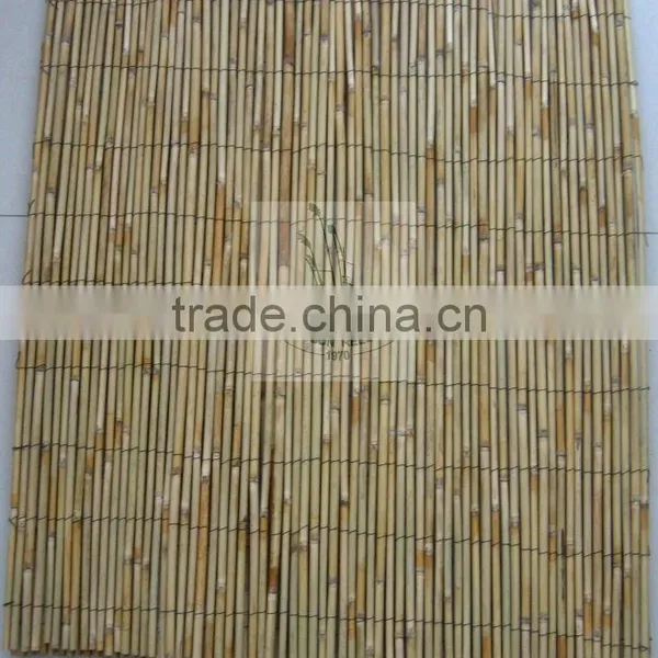Bamboo Fence photo-4