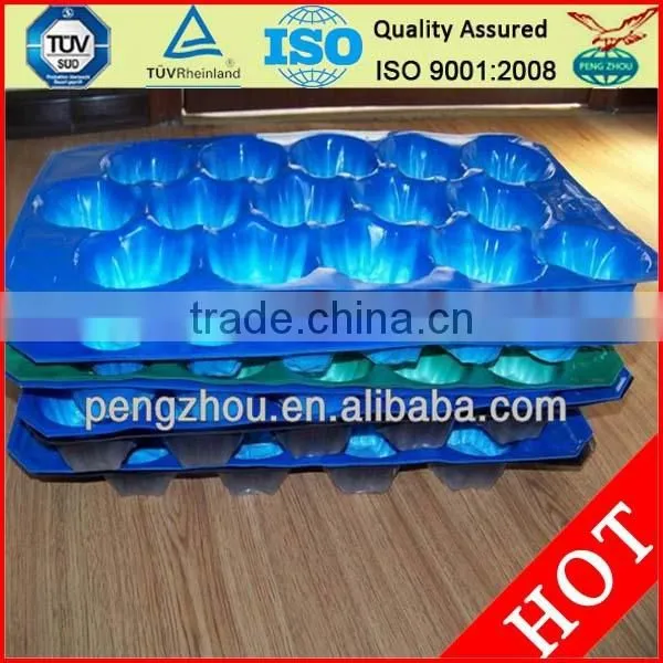 FDA Approval Vacuum Formed Blister Packaging 29x49cm Alveolus PP Tray For Fresh Fruits photo-2