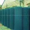 Quality Hexagonal Wire Mesh photo-3