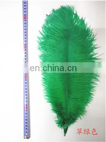 Ostrich Feather photo-4