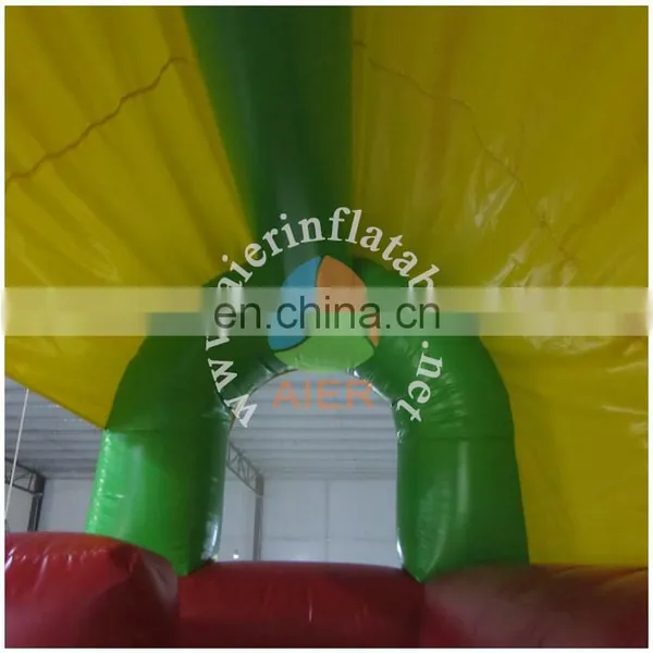 2017 New Design Inflatable Slide/mini Tropical Slide/factory Price Inflatble Slide photo-5